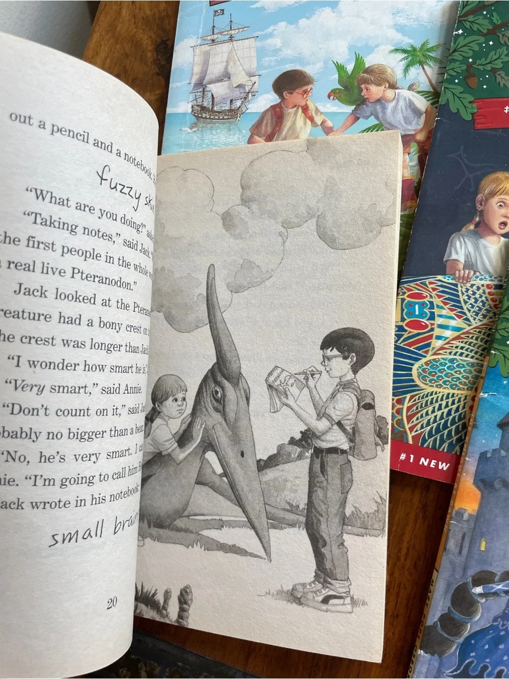 Mary Pope Osborne Magic Tree House Kids Book Set of 6 - Gently used